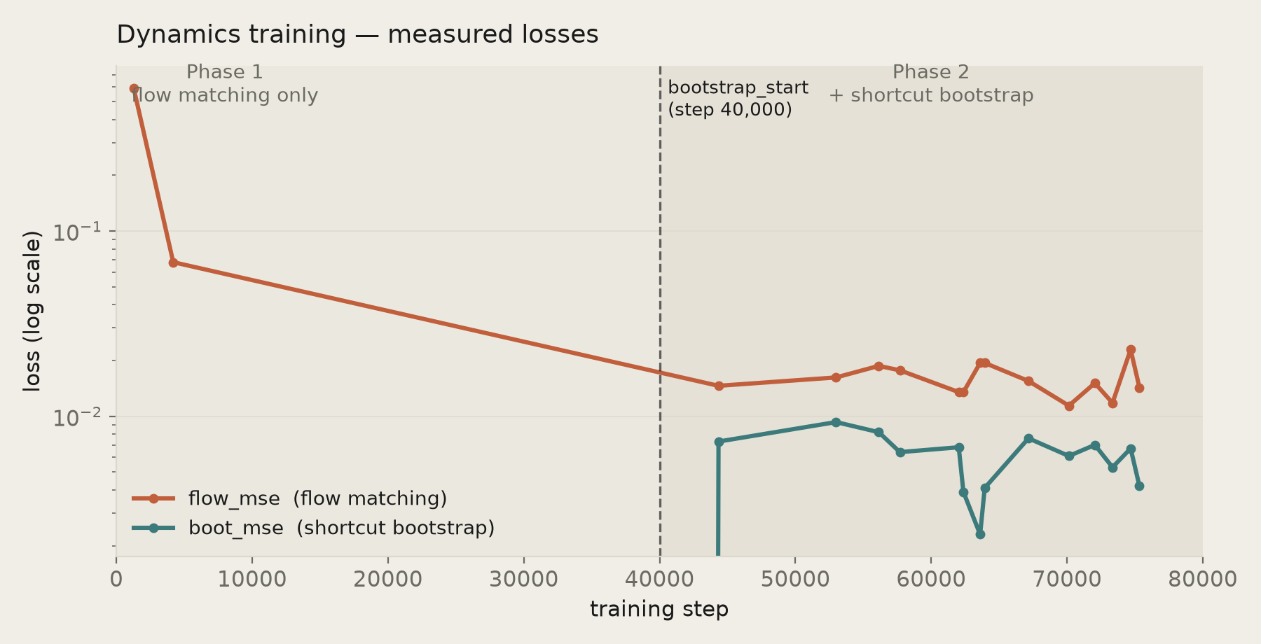 Measured training losses across both phases