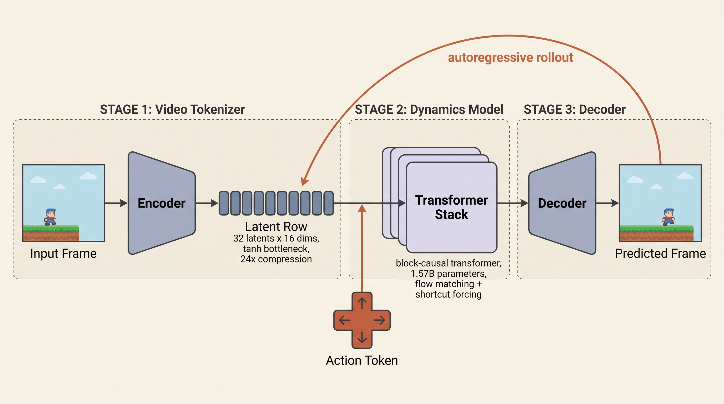 World model architecture: tokenizer, dynamics, decoder